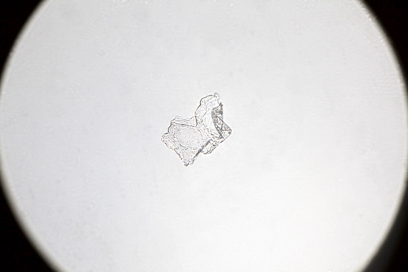 51760076248_84624b9520_c.jpg