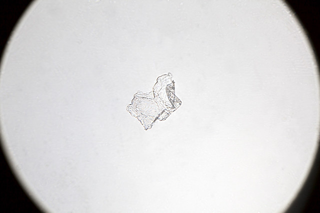 51760076248_84624b9520_z.jpg
