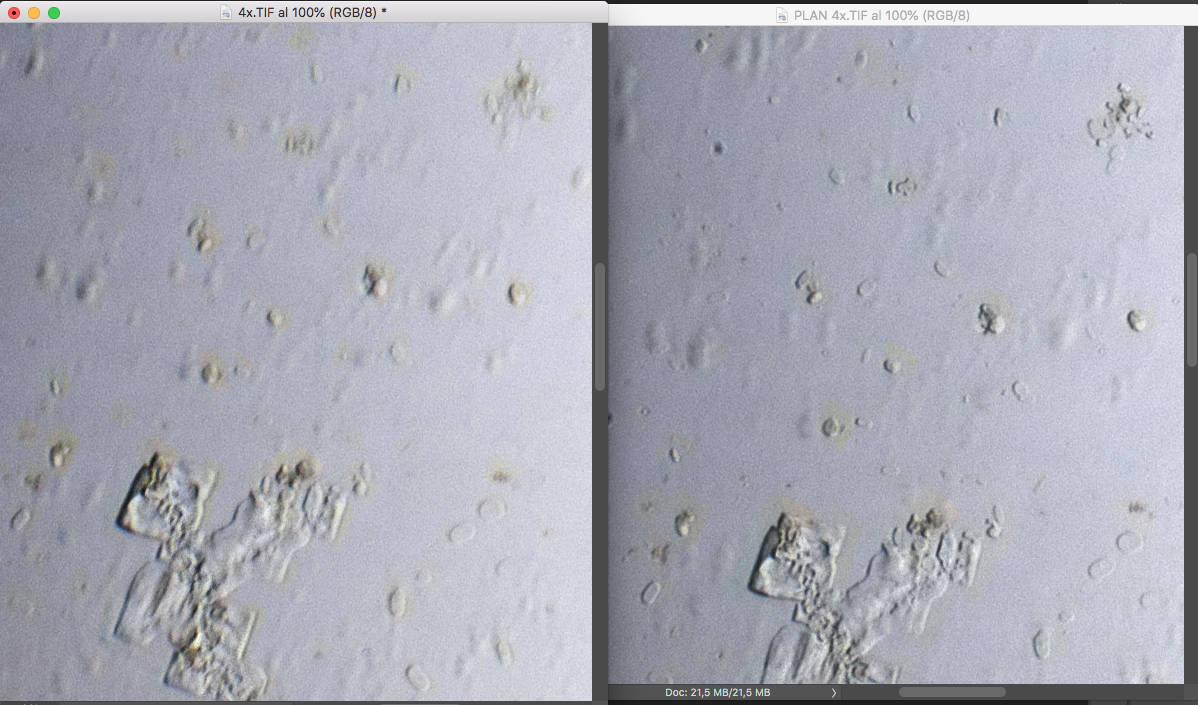 51799458361_a1256bd4b5_o.png