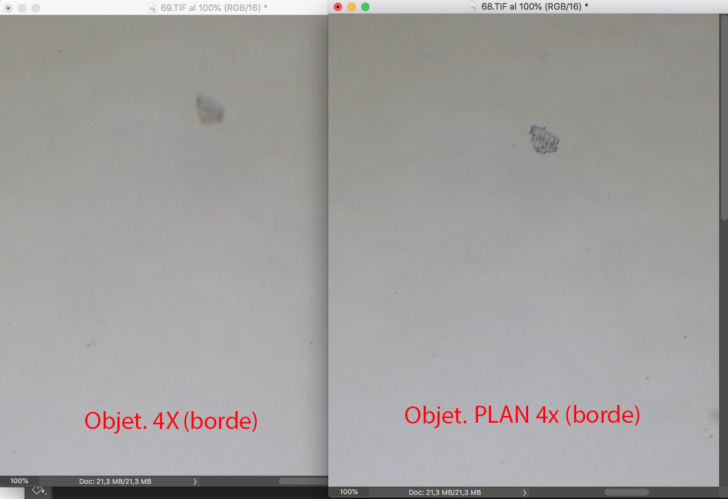 51799606482_bdc7cb977a_o.png