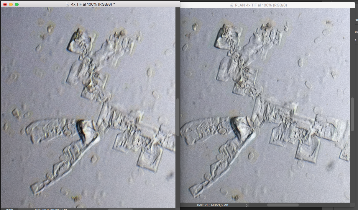 51799826494_accc9fa810_o.png