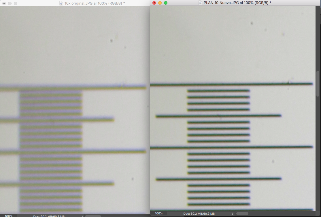 51873908186_b16166e7f2_o.png