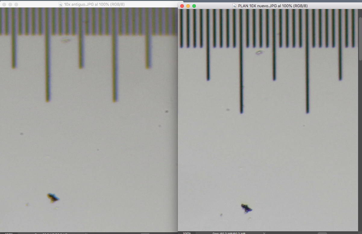51873983008_4864a88e9b_o.png