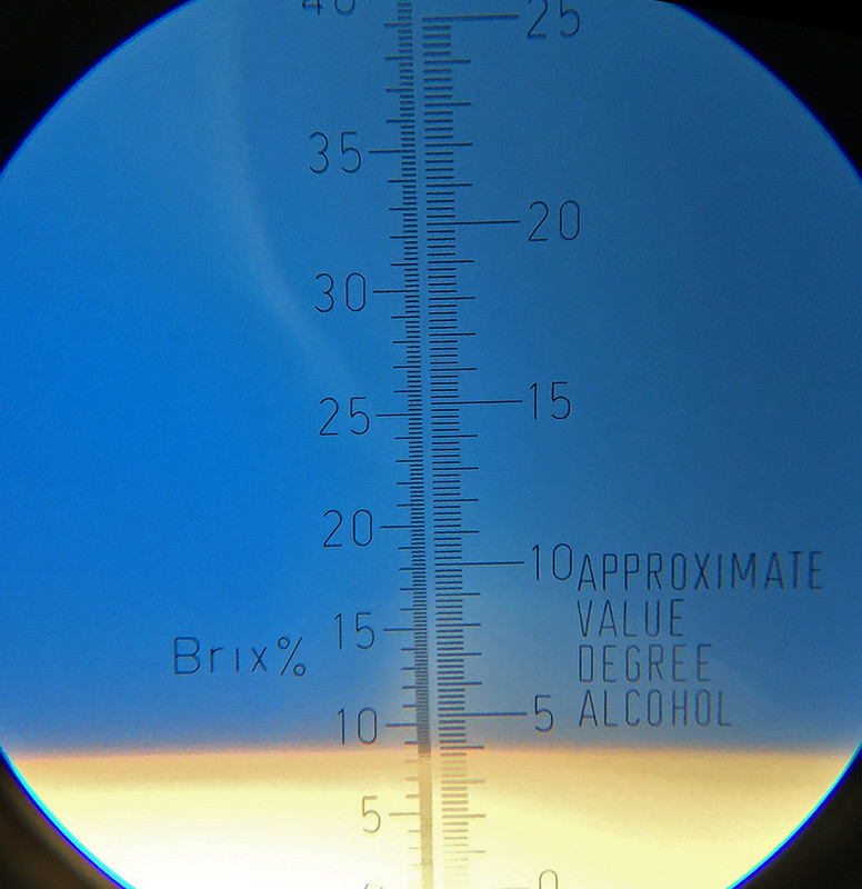 51909780860_d1042174d7_c.jpg