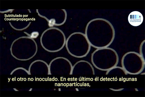 51956333873_5dcbc0c093.jpg