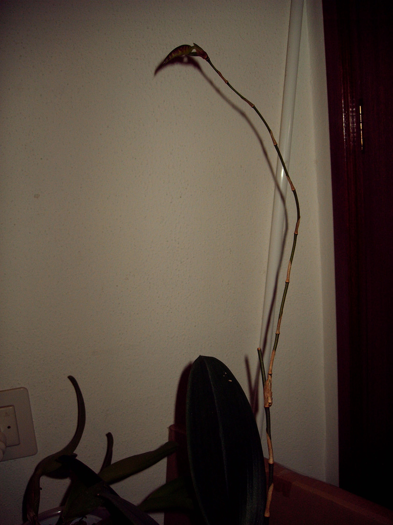 519649330_0c1005fac8_b.jpg