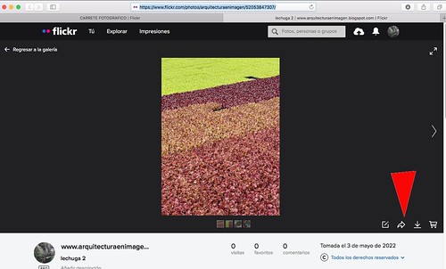 52055919766_da039204a3.jpg
