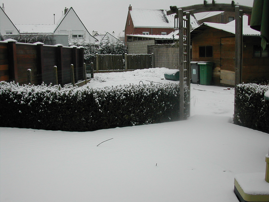 5220146407_b00d3ccdf8_b.jpg