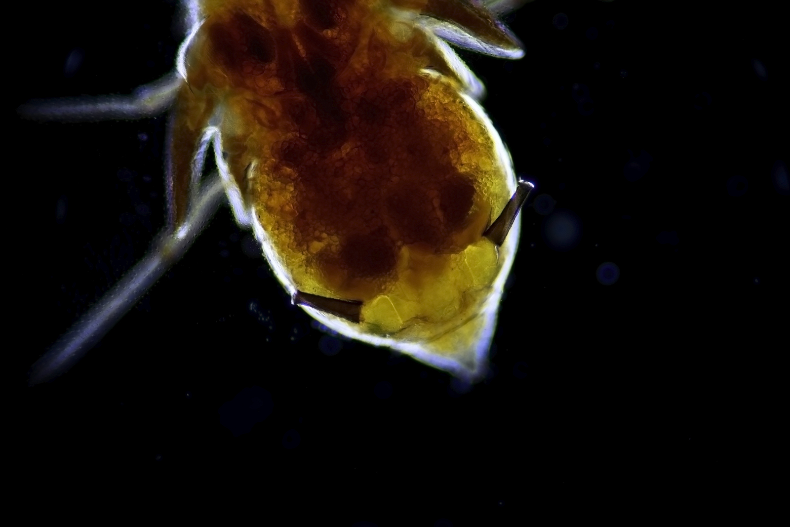 52304054297_abb410fce4_o.jpg