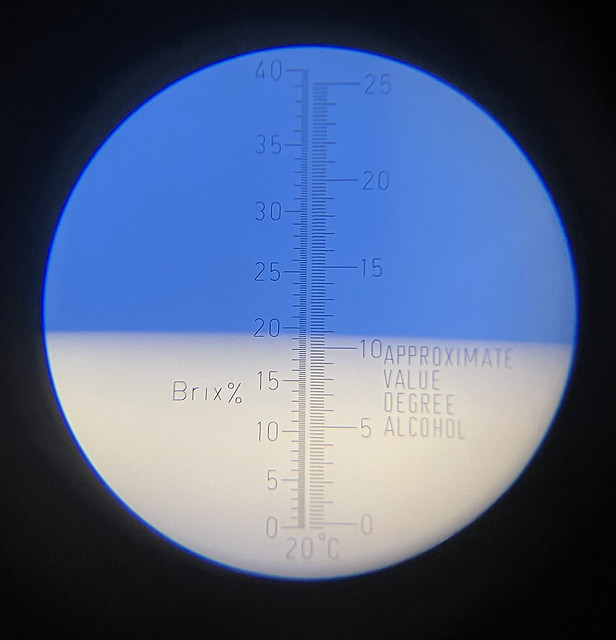 52493370952_d60f2374bf_z.jpg