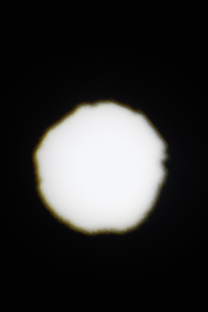 52576446374_f8cacfef12_z.jpg
