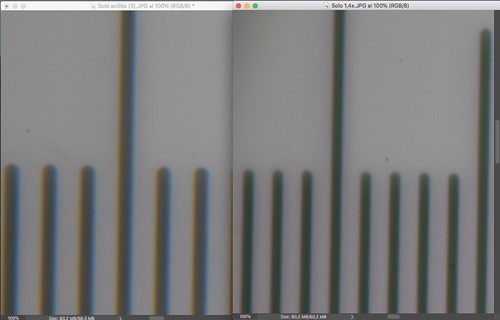 52608491474_36d0a26d62.jpg