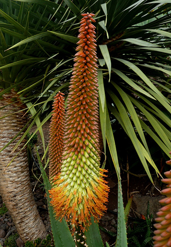 5293565713_df5a9f133a.jpg