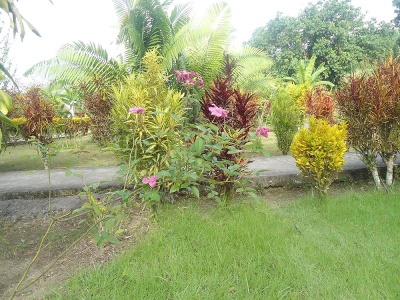 529cca6444b69.JPG