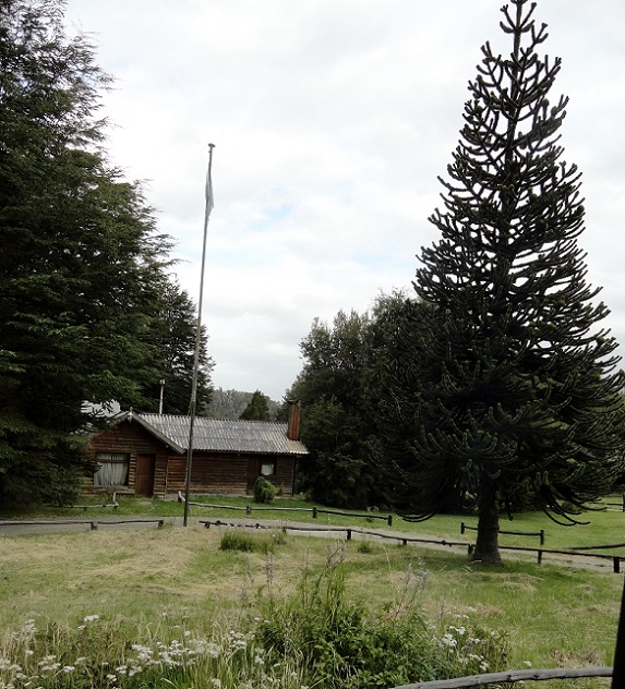 530a1683d9808.JPG