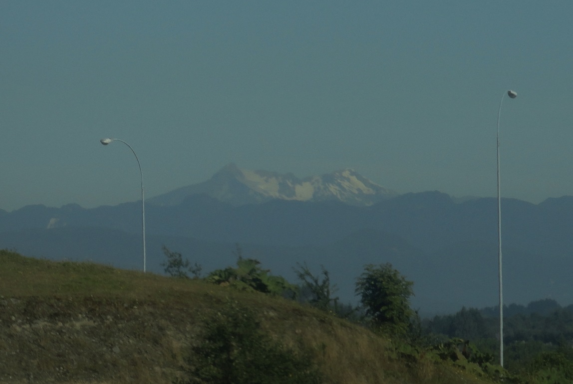 530f5fb989ed9.JPG