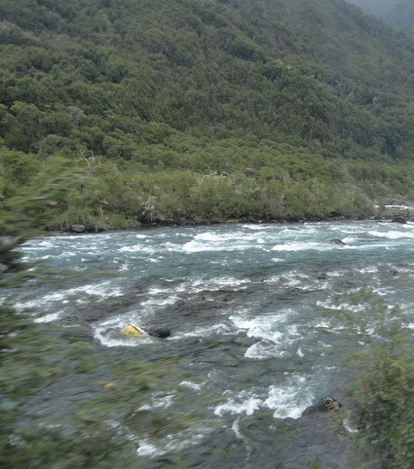 530f71a7af066.JPG