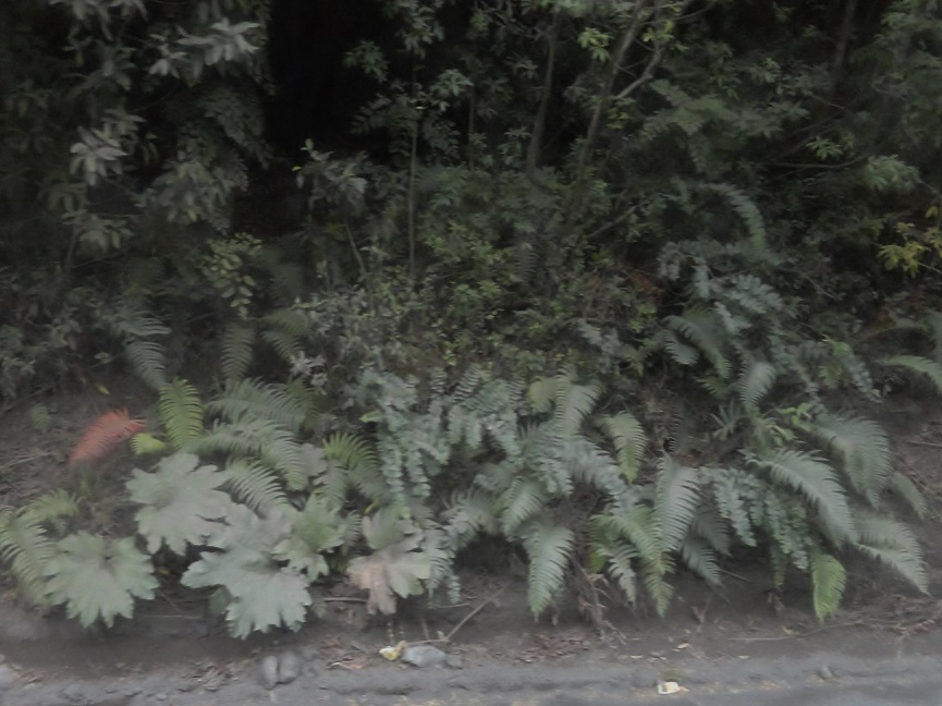 530f79c43bcd0.JPG