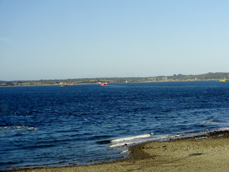 53122821e0990.JPG