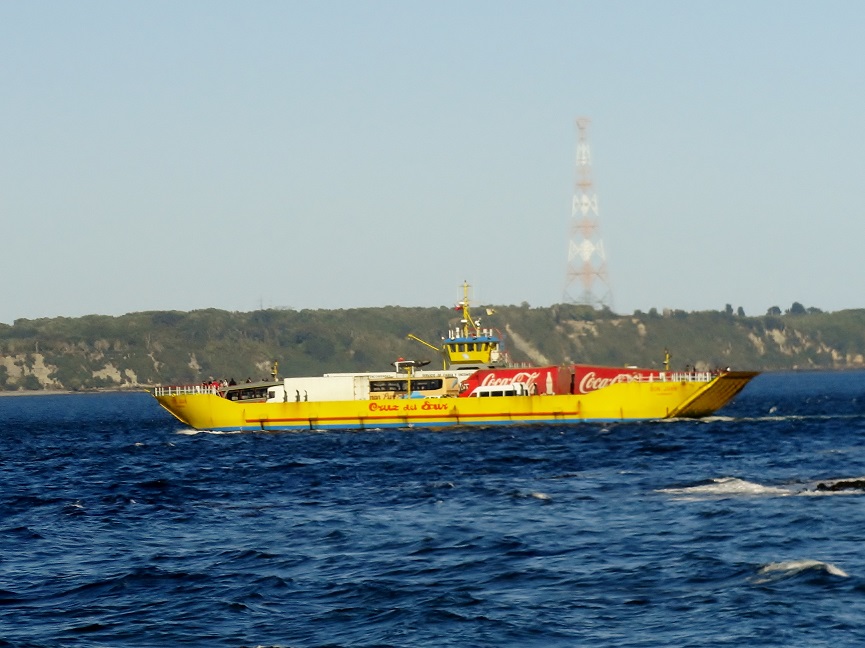 5312286fc4c41.JPG