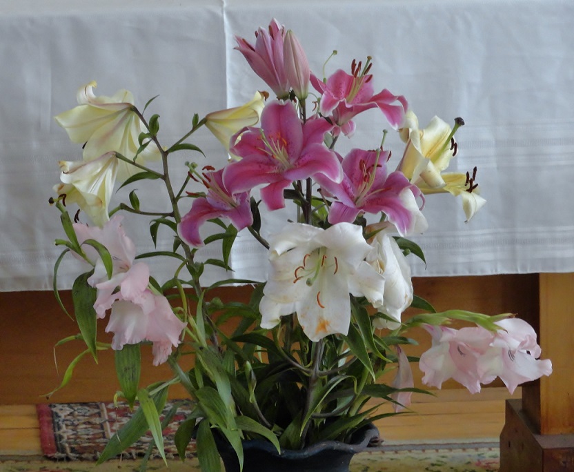 53122dd054761.JPG