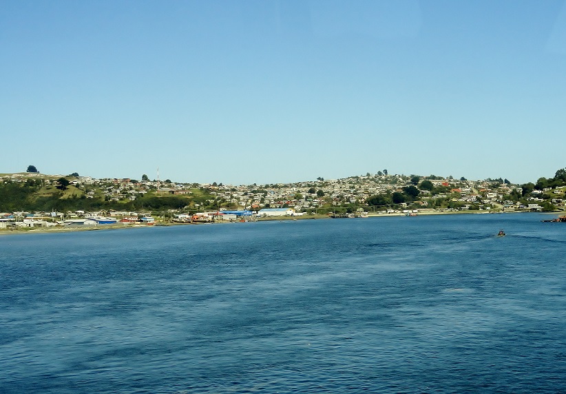 531231d138239.JPG