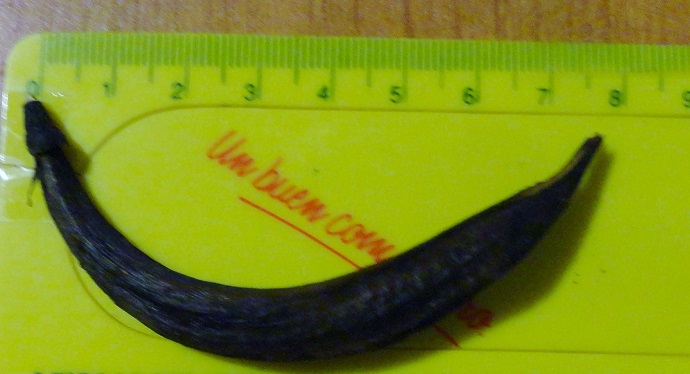 5314c86883900.JPG