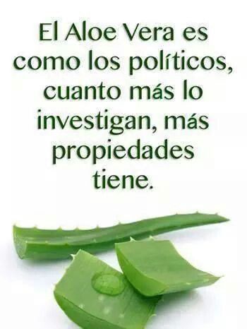 53180c2095283f025c7746c44defa364--%C3%A1loe-vera-aloe.jpg