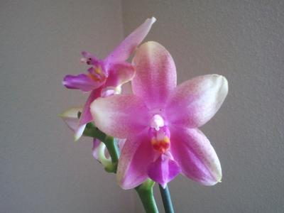 5326db1017a72.partial.jpg