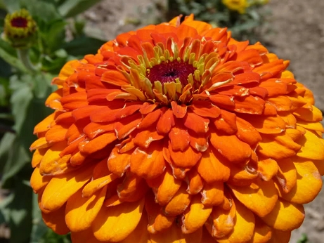 535c6e2157dfe.jpg