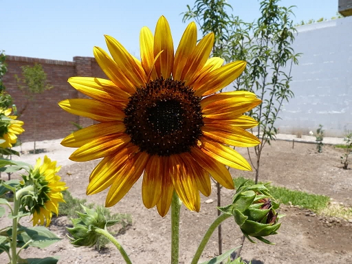 535c6f255c065.jpg