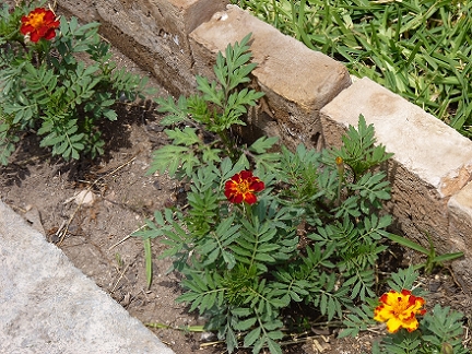 5361b977120e1.jpg