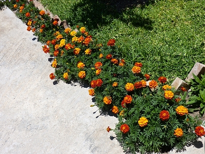 5362afcebfa07.jpg