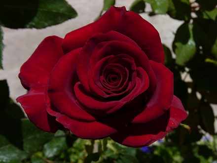 536415511d062.jpg