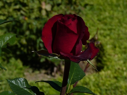 5365bd08049c7.jpg