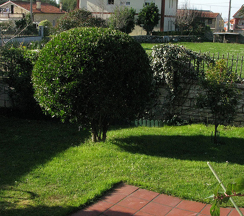 5367301987_37e321166d_z.jpg