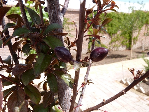 536b094678d14.jpg
