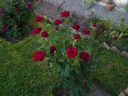 536fb06f79916.jpg