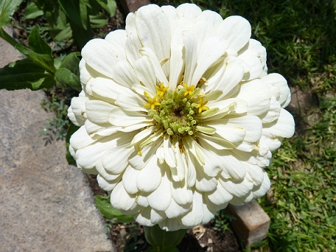 537834d061e24.jpg