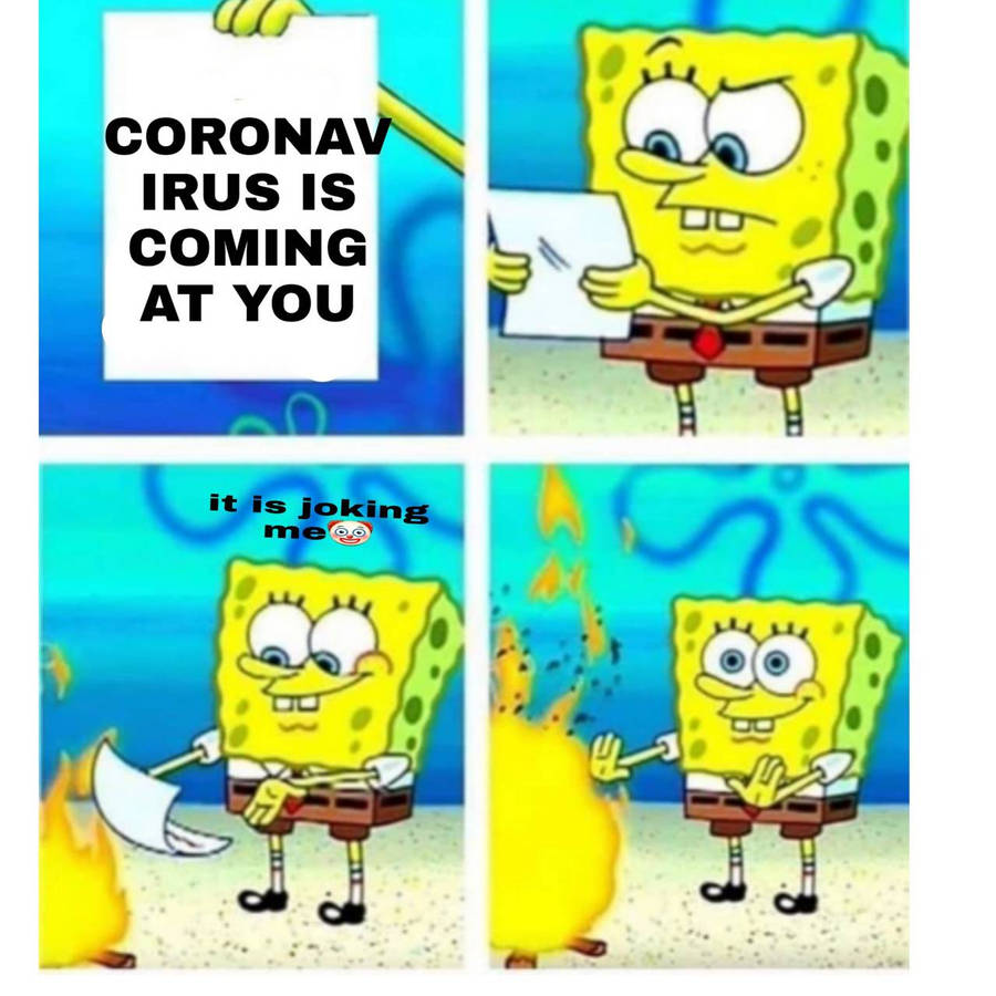 53820791.jpg