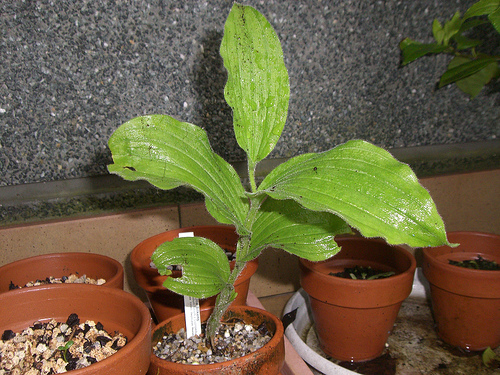 538884268_2ece4385e5.jpg