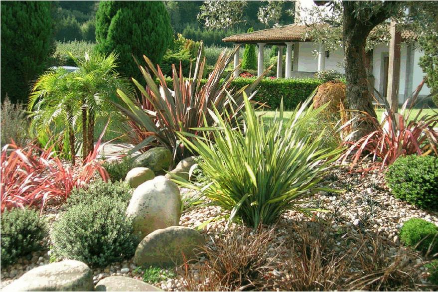 5421d1271752610-el-jardin-de-yoly-hebesformios4.jpg
