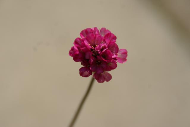5429b.jpg
