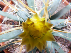 5431337375_83e715c221_m.jpg