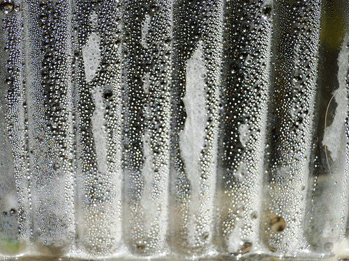5451531832_f69e0ee648.jpg
