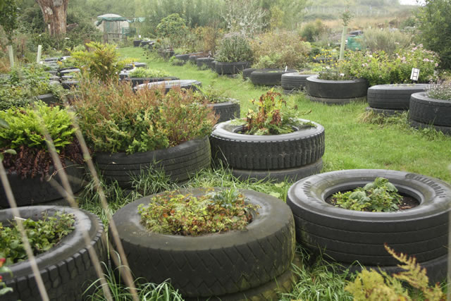 546_28_tyres-1--2583217.jpg