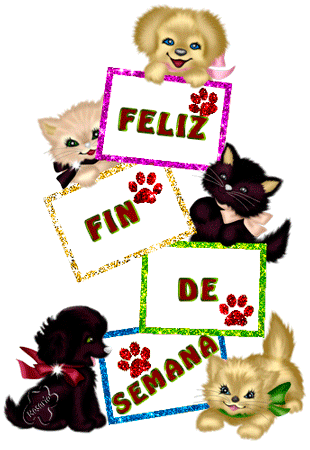 55.gif