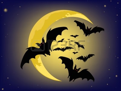 5554026-fondos-de-halloween-murcielagos-silueta-vector.jpg