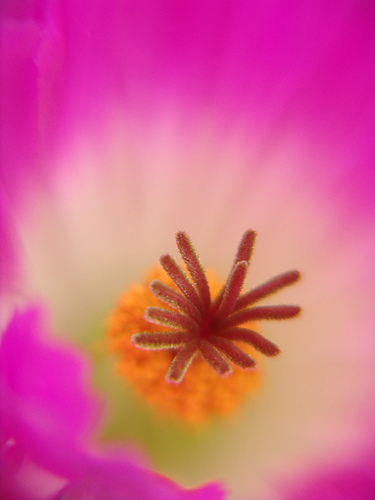 556644252_fd19c0eea7.jpg