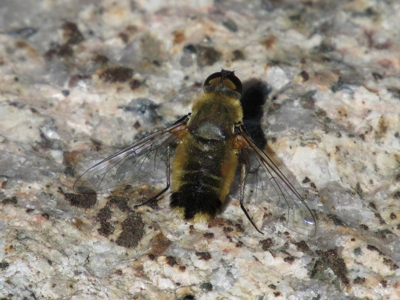 561005c08d-23.jpg